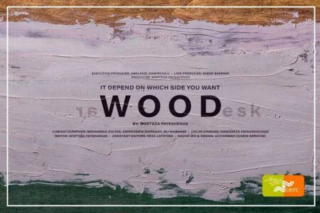 راهیابی مستند کوتاه «چوب» در جشنواره روسیه